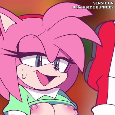 sonic (series), amy rose, classic amy rose, mobian (species), beachside bunnies, senshion, 2girls, anthro, anthro on anthro, female, female/female, hedgehog, pussy, rodent, scissoring
