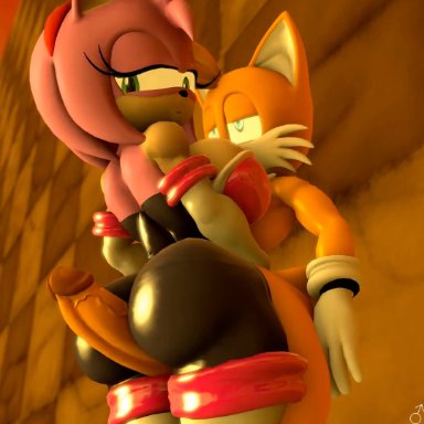 sega, sonic (series), sonic the hedgehog (series), amy rose, miles prower, rouge the bat (cosplay), tails, tails the fox, captain spade, tahlian, 1boy, 1boy1girl, 1girls, age difference, anthro
