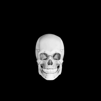 skull, skeleton, meme, skull head, not porn