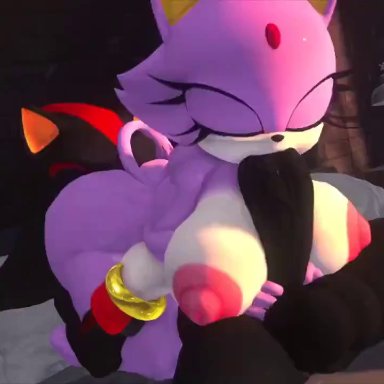 sega, sonic (series), sonic the hedgehog (series), blaze the cat, shadow the hedgehog, leviantan581re, 1boy, 1girls, anthro, anus, areolae, ass, balls, bed, bedroom