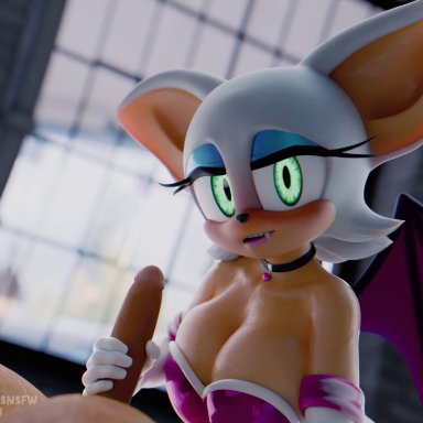 sega, sonic the hedgehog (series), rouge the bat, rouge the bat (nottanj), soliloquy, anthro, bat, big breasts, bodily fluids, breasts, clothed, clothing, duo, erection, eyeshadow