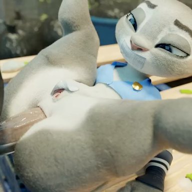 disney, webm, zootopia, judy hopps, snips456fur, ambiguous penetration, anthro, anthro penetrated, balls, big butt, black stripes, blue clothing, bouncing butt, butt, clothed