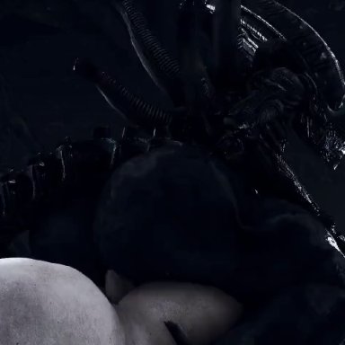 alien (franchise), male xenomorph, xenomorph, rayhuma, 1femboy, 2boys, alien, anal, anal sex, ass jiggle, ass shake, ass shaking, balls, ballsack, big