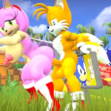 sega, sonic (series), sonic the hedgehog (series), amy rose, miles prower, sonic the hedgehog, tails the fox, wector, 1boy, 1girls, balls, breasts, canid, canine, doggy style